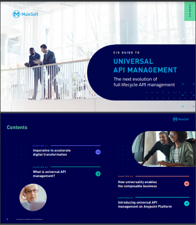 CIO guide to universal API management