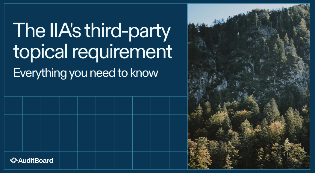 The IIA’s Third-Party Topical Requirement: Your essential guide