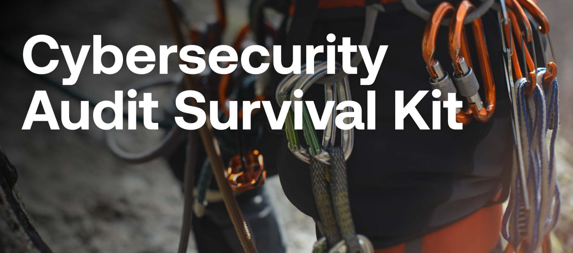 Cybersecurity Audit Survival Kit