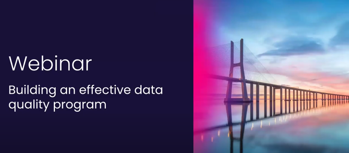 Building an effective data quality program