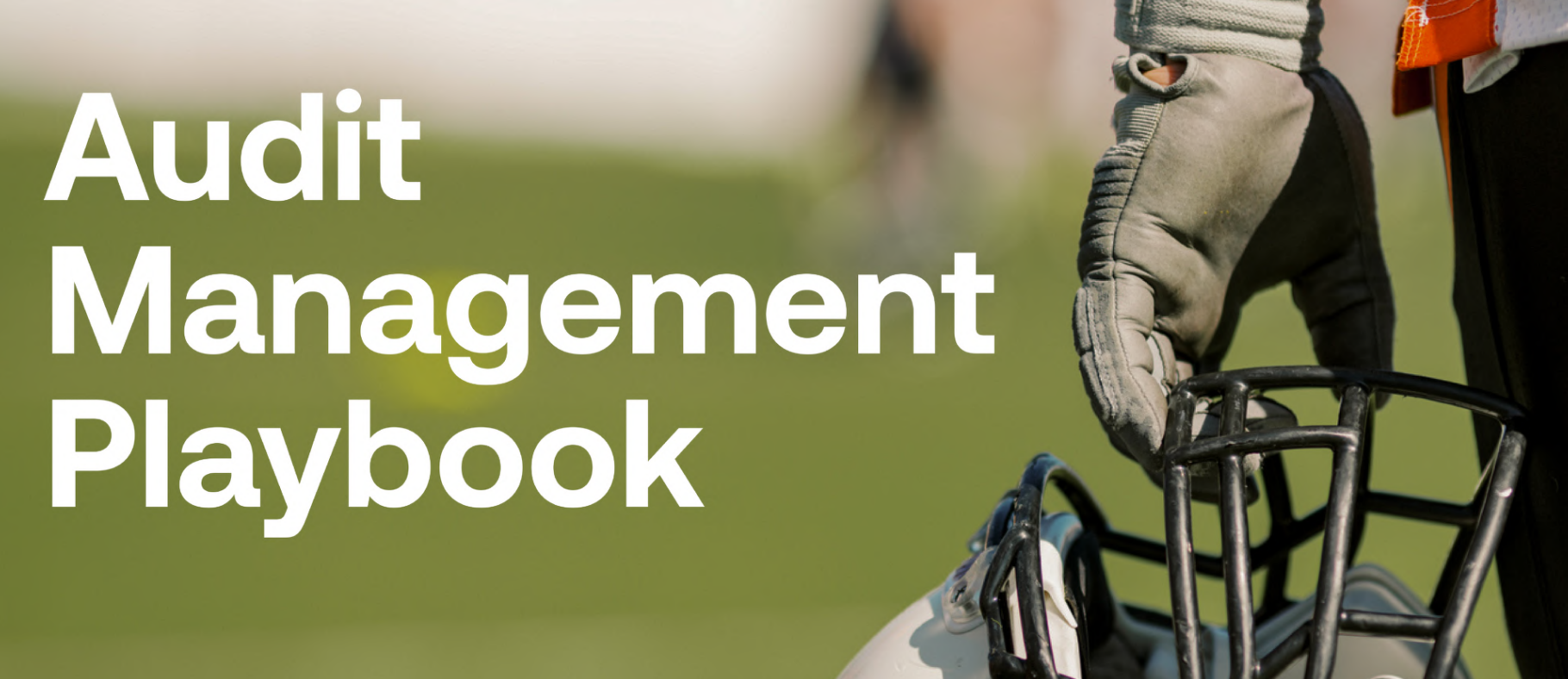 The Audit Management Playbook