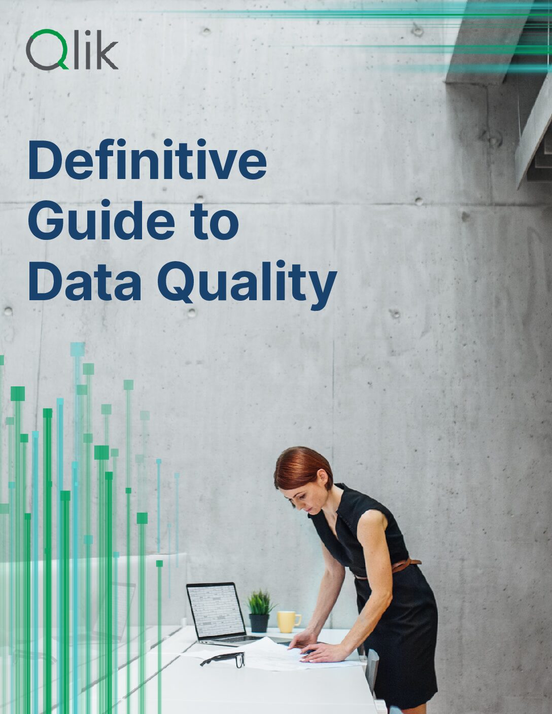 The Definitive Guide to Data Quality
