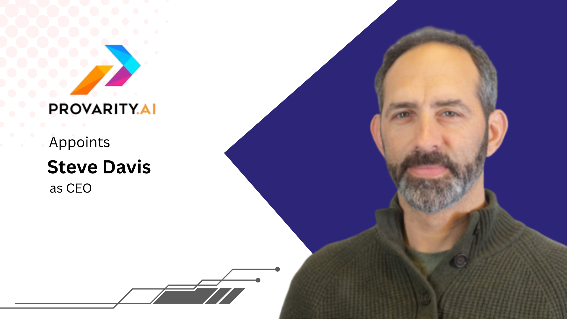 Provarity AI Names Steve Davis CEO to Drive PreSales Intelligence Growth