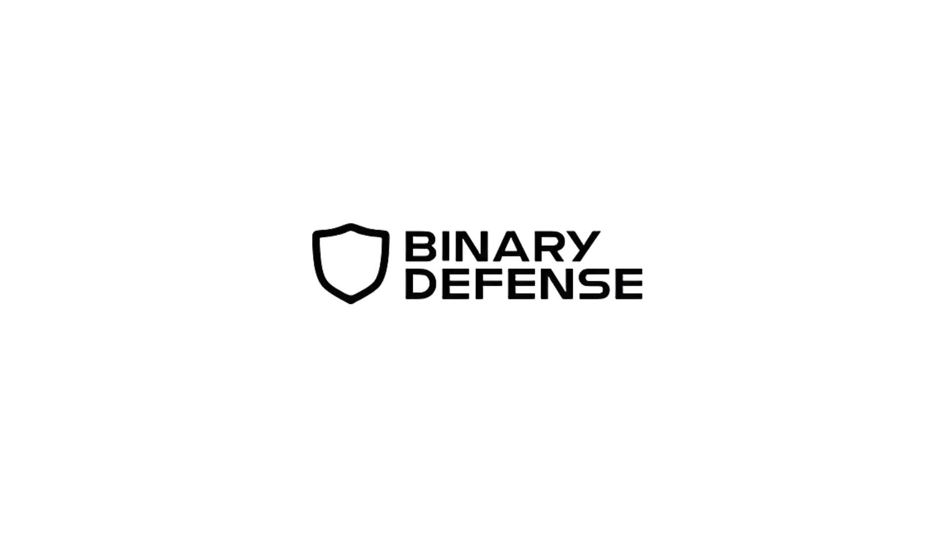 Binary Defense Names Dennis Hon CEO, Accelerates Channel-First and AI-Driven Security Strategy