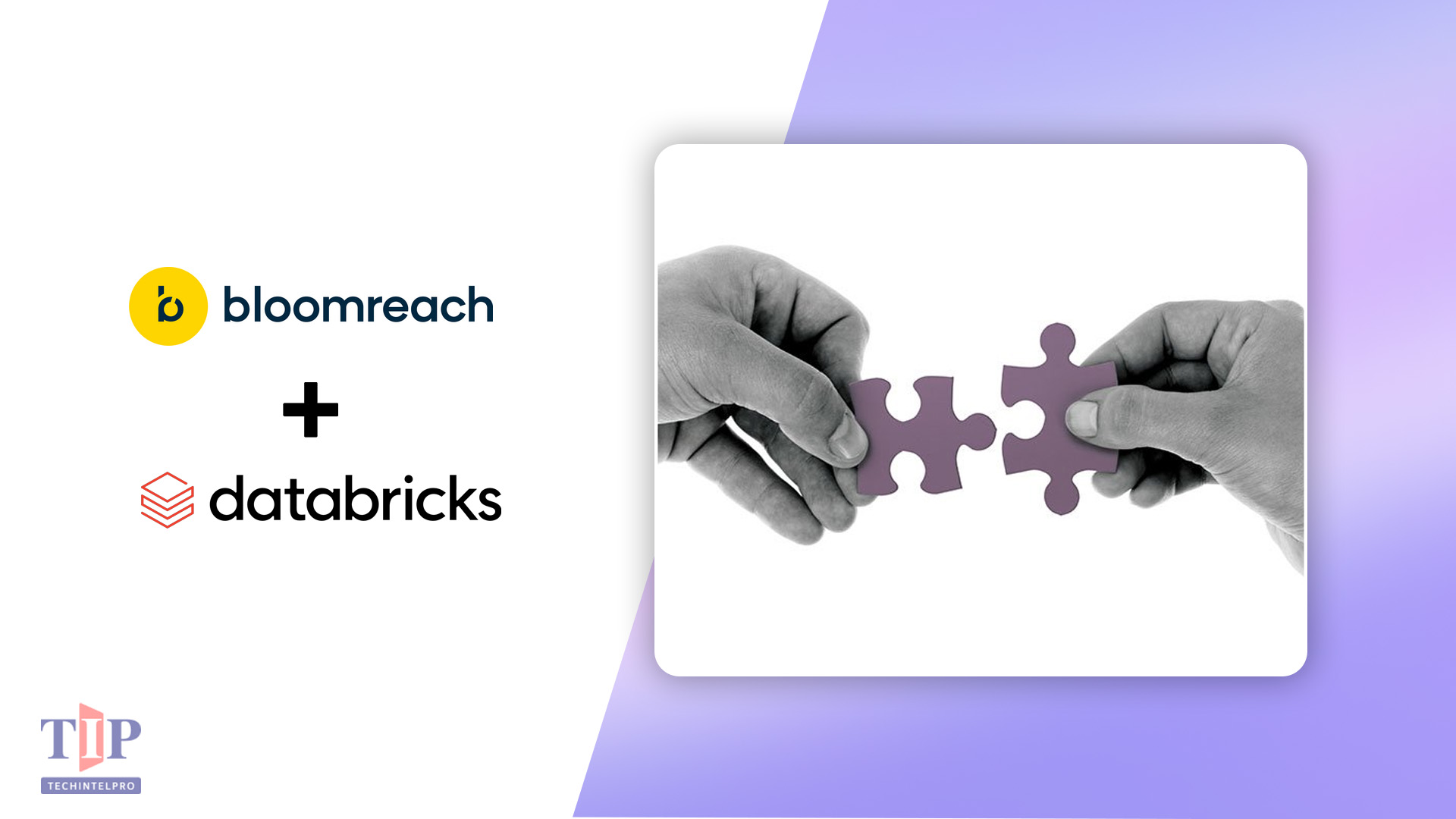 Bloomreach Deepens Databricks Partnership with CustomerLake Integration for AI Personalization
