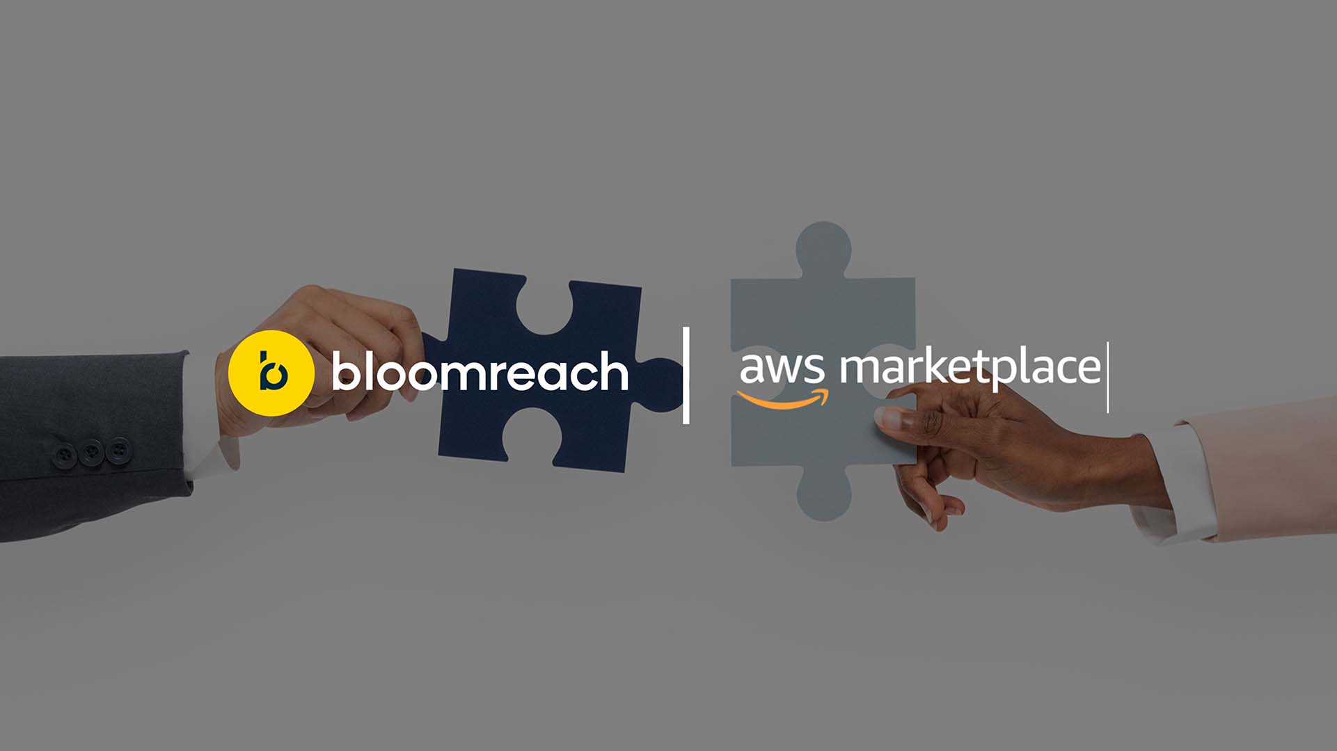 Bloomreach AI Marketing & Search Tools Now on AWS Marketplace