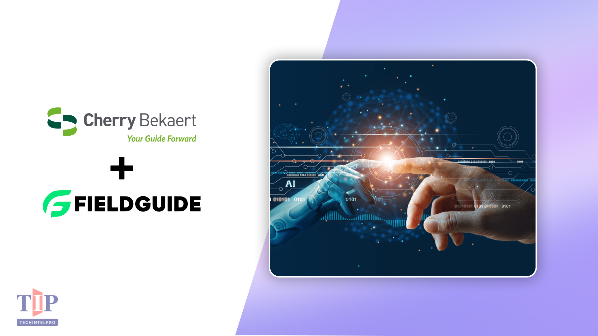 Cherry Bekaert Selects Fieldguide as Strategic AI Audit Partner
