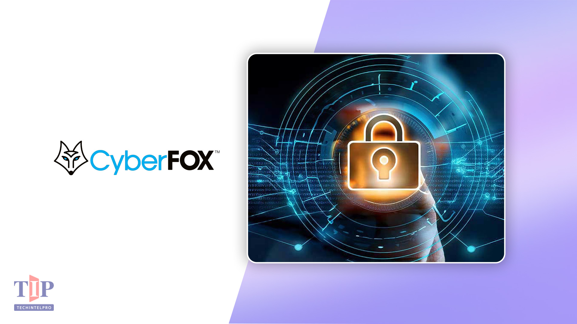 CyberFOX Acquires Timus Networks to Expand SASE Security Platform