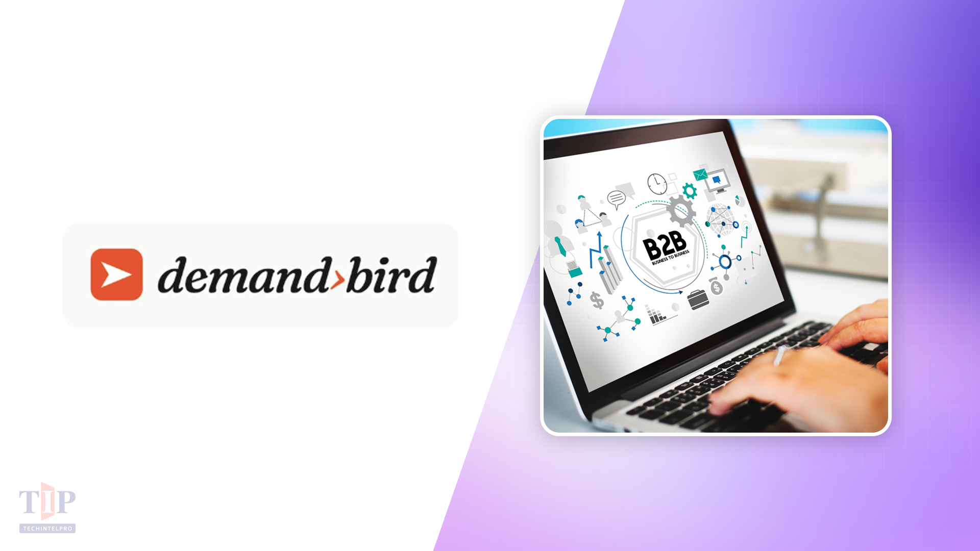 DemandBird Launches B2B Social Media Management Platform