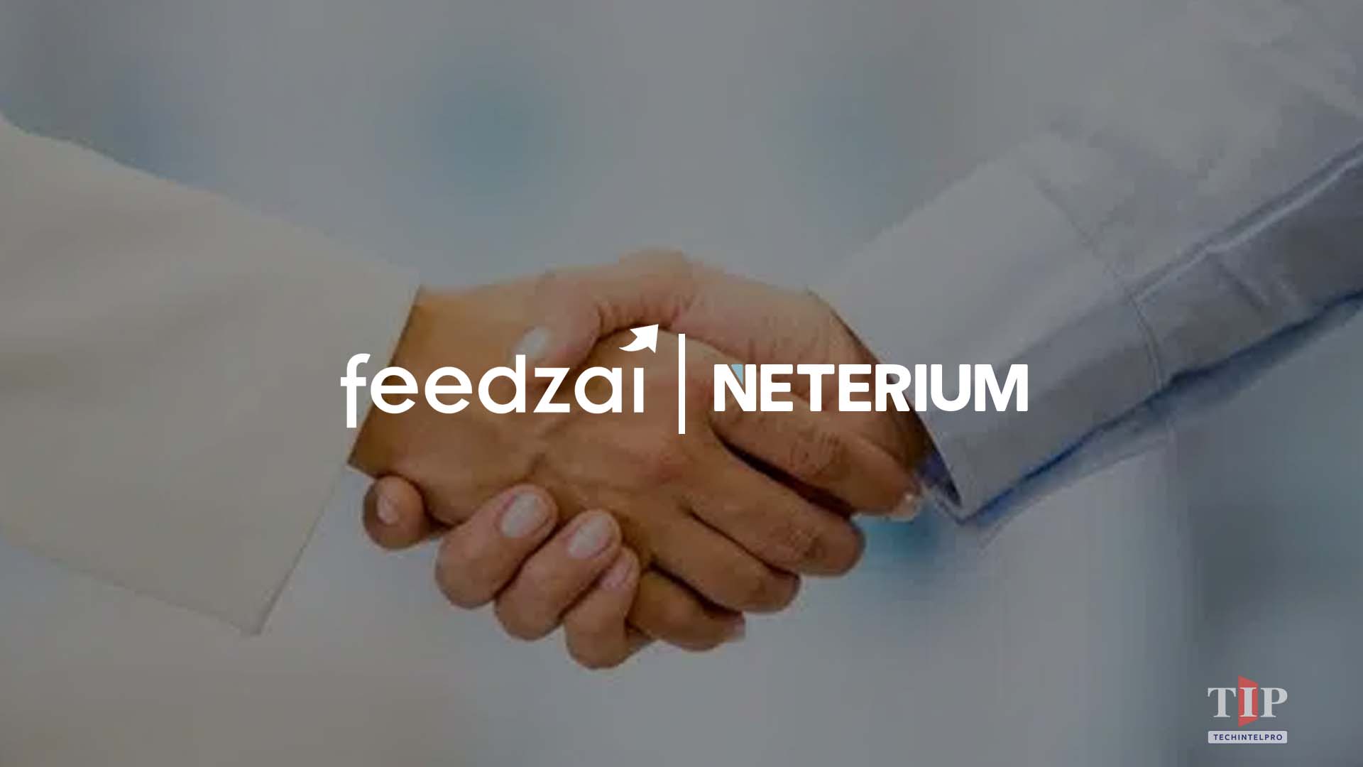 Feedzai Partners with Neterium for Unified Transaction & Watchlist Screening