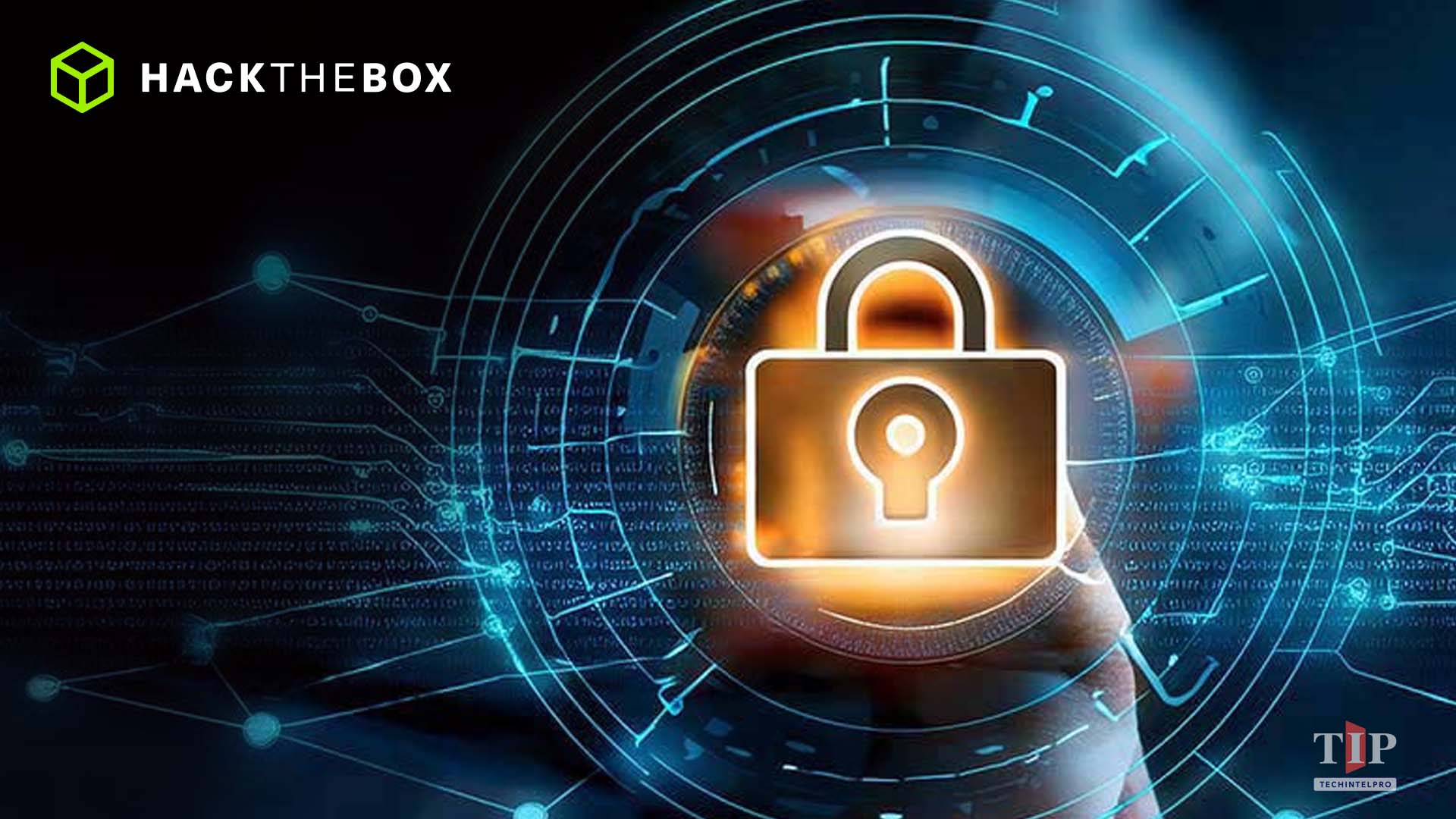 Hack The Box Named Leader in Forrester Cybersecurity Training Wave