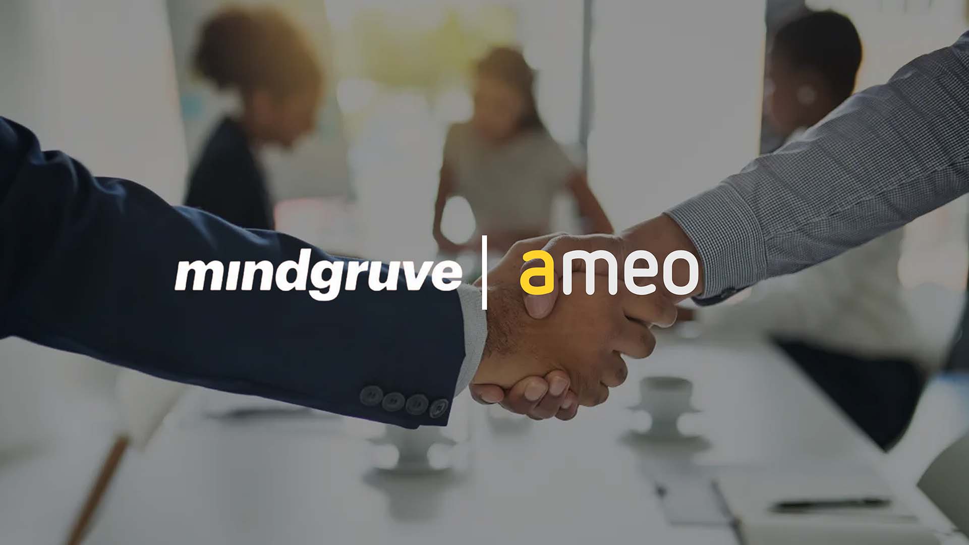 Mindgruve Acquires Ameo for European Amazon Expansion
