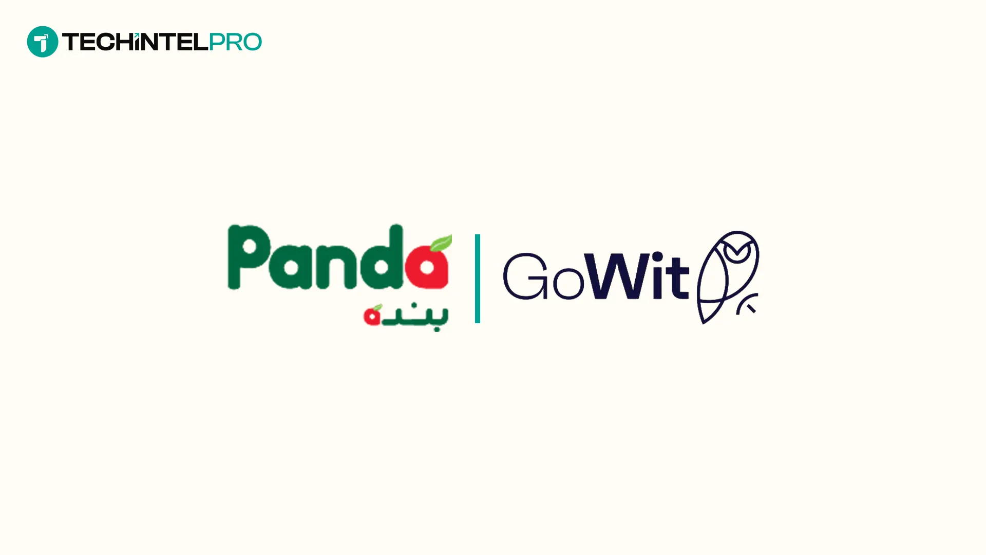  Panda Partners with Spike and GoWit to Power E-Commerce Media