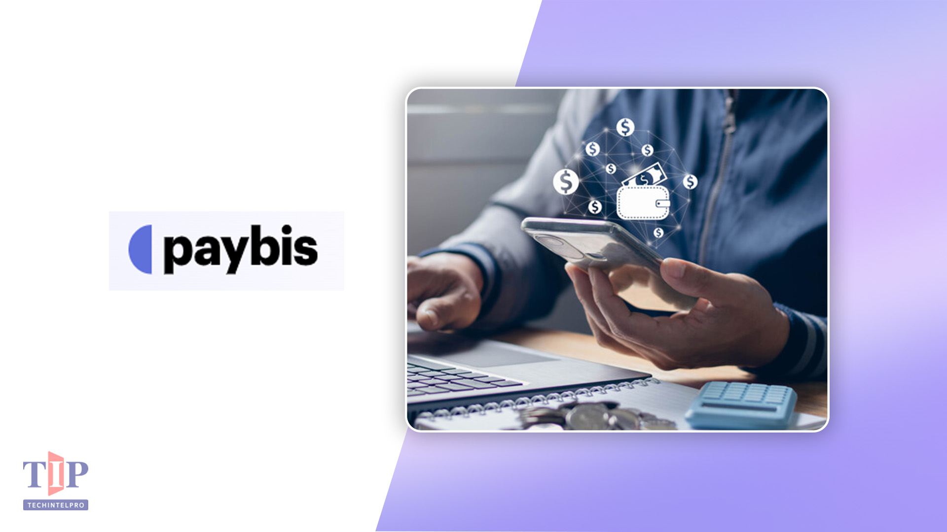 Paybis Reports B2B Stablecoin Payments Drive Enterprise Growth