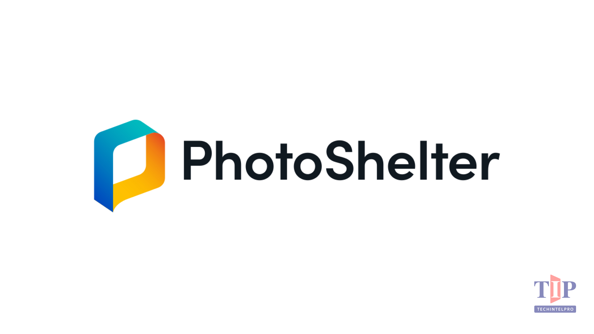 PhotoShelter Launches AI-Generated Alt Text to Automate Web Accessibility