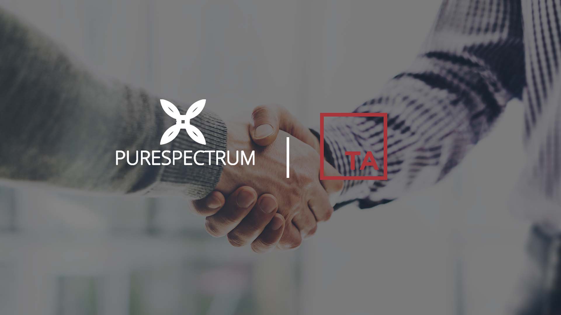 PureSpectrum Partners with TA to Scale Market Research Platform