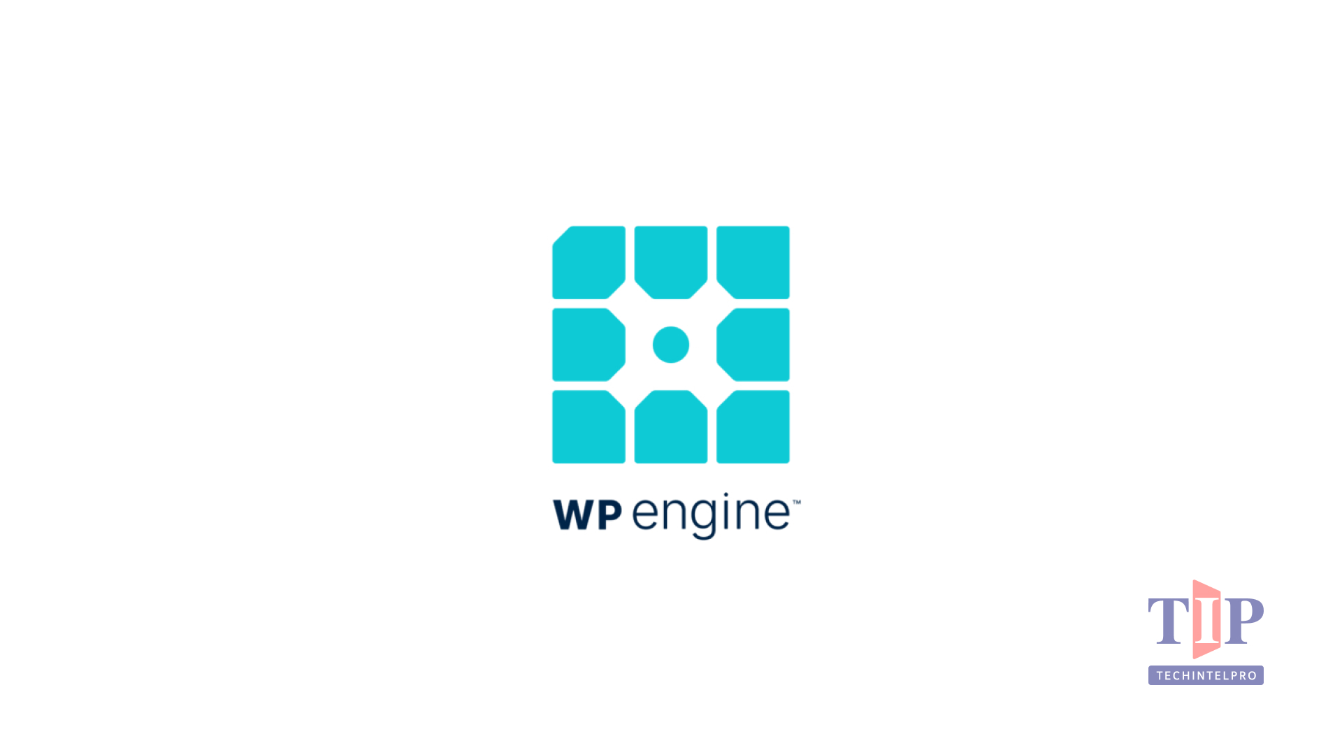 WP Engine AI Agency Trends Report Shows Rising AI Investment