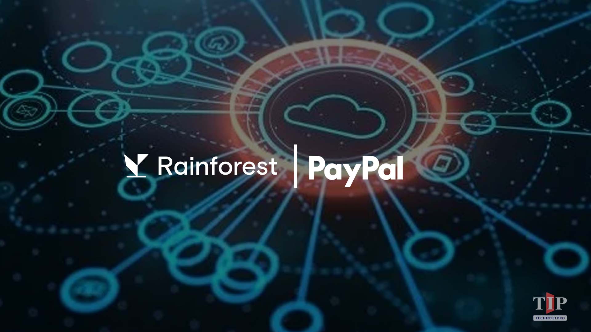 Rainforest and PayPal Launch Embedded Payment Integration