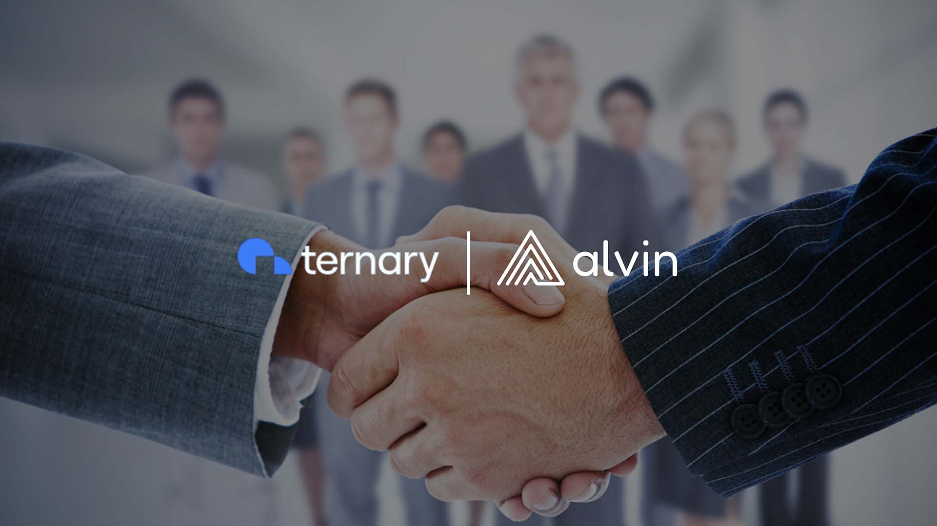Ternary and Alvin Partner for Google Cloud & BigQuery Optimization