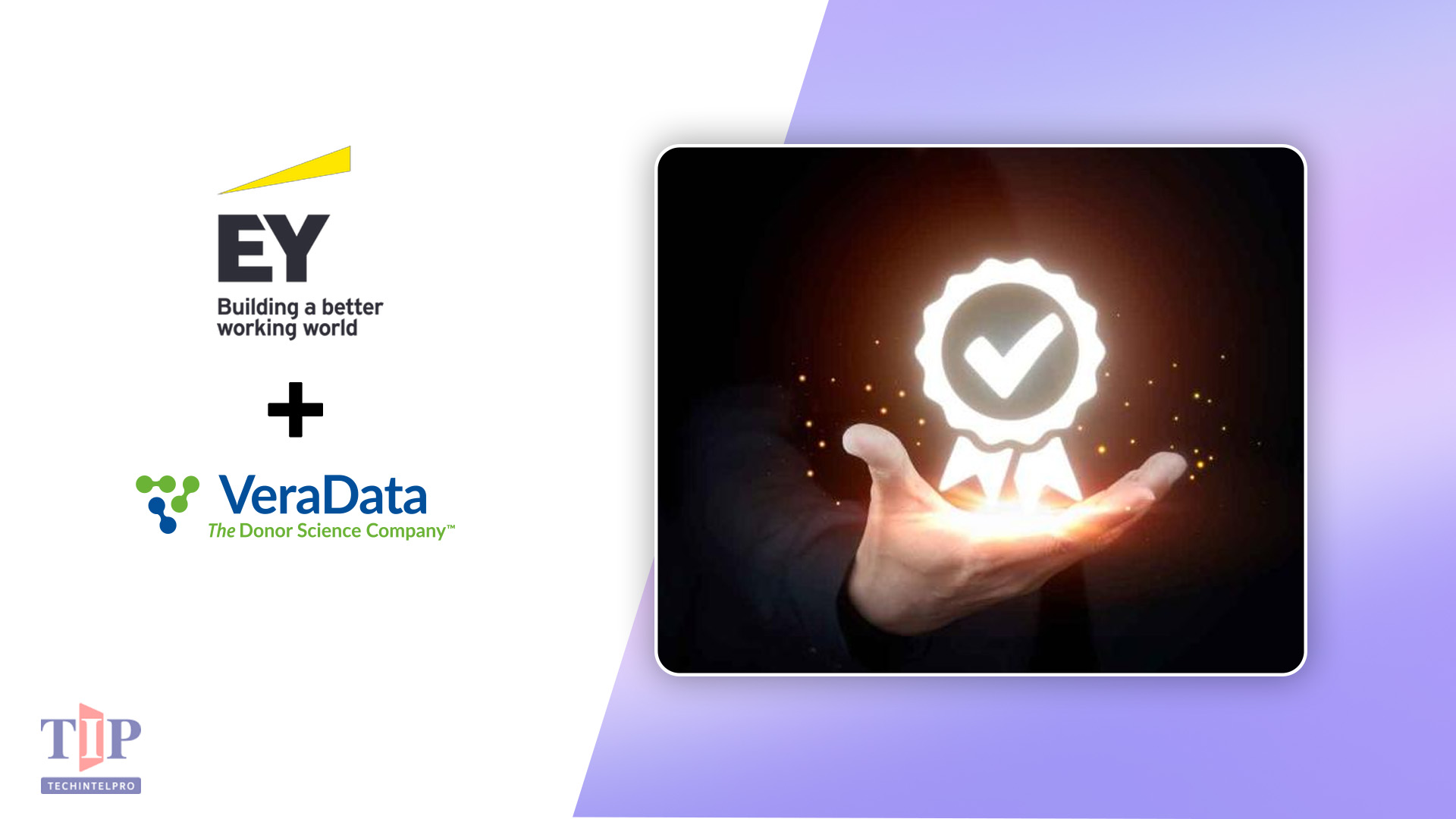 VeraData CEO Michael Peterman Wins EY Entrepreneur Award