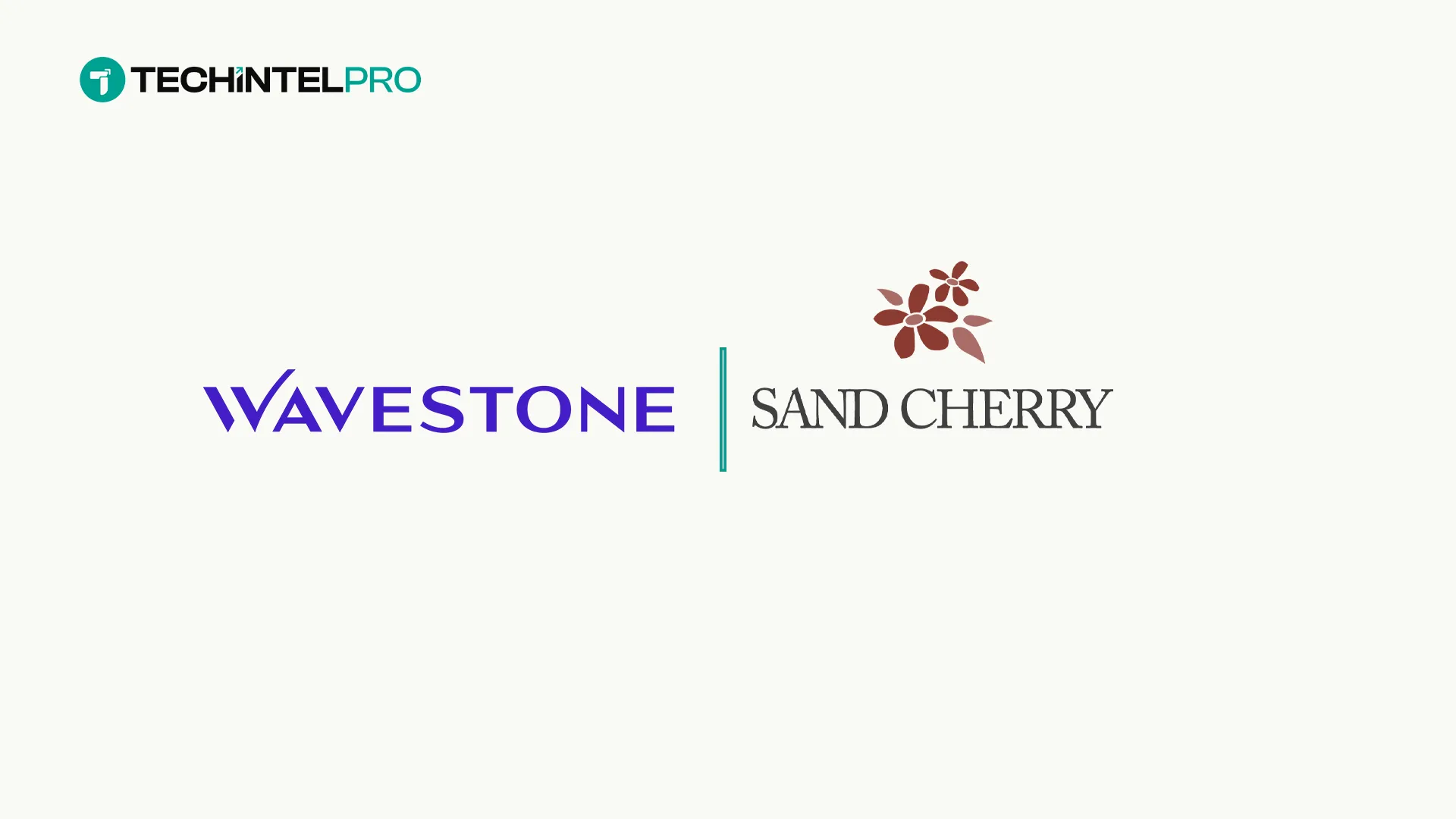 Wavestone Accelerates US Expansion with Acquisition of Sand Cherry