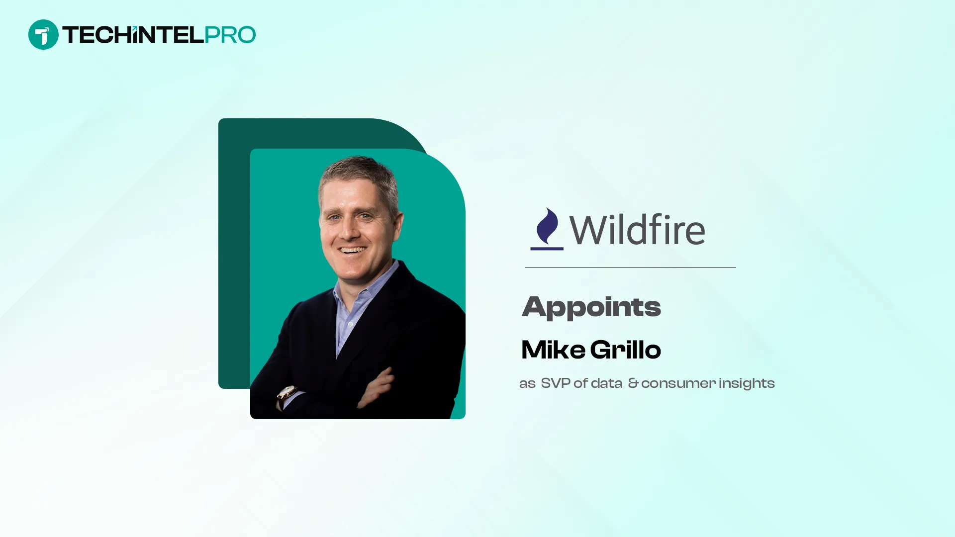 Wildfire Appoints Mike Grillo as SVP of Data and Consumer Insights