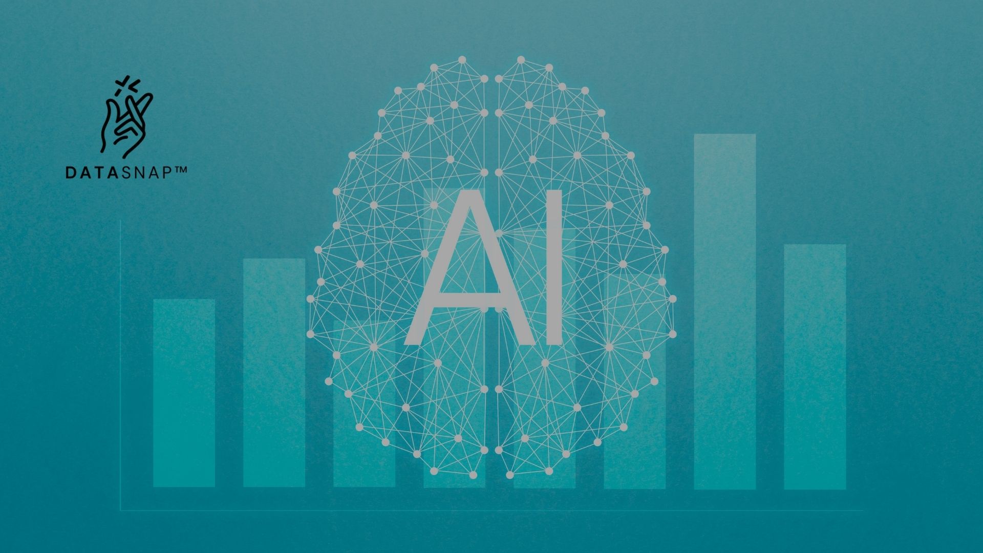 DataSnap Unveils AI-Driven Analytics for Growth-Stage Firms
