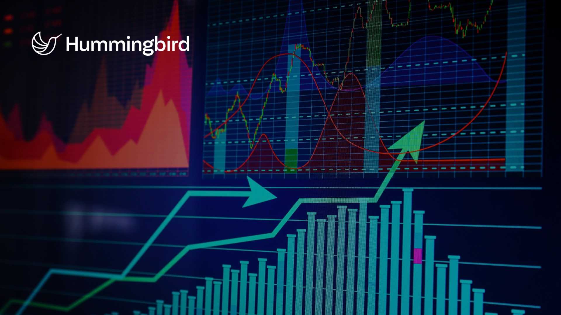 Hummingbird Unified Risk & Compliance Platform Launch