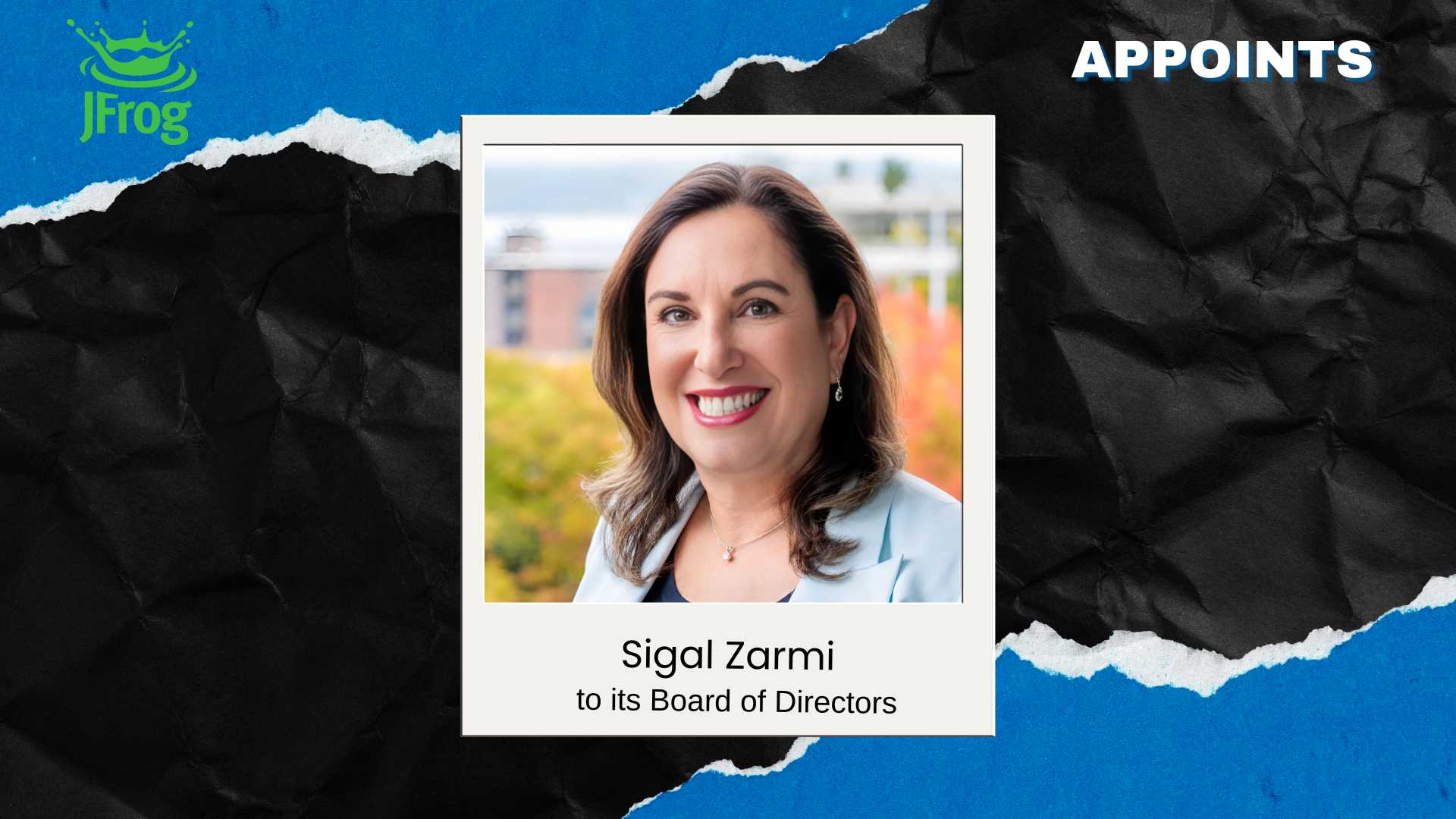 JFrog Appoints Sigal Zarmi to Board to Drive AI-Era Growth