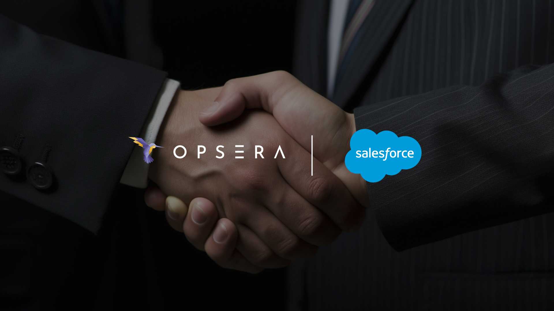 Opsera Partners with Salesforce for AI-Powered DevOps