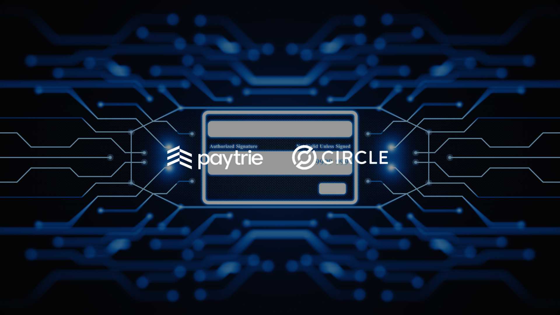 Paytrie Joins Circle Payments Network for Stablecoin Solutions