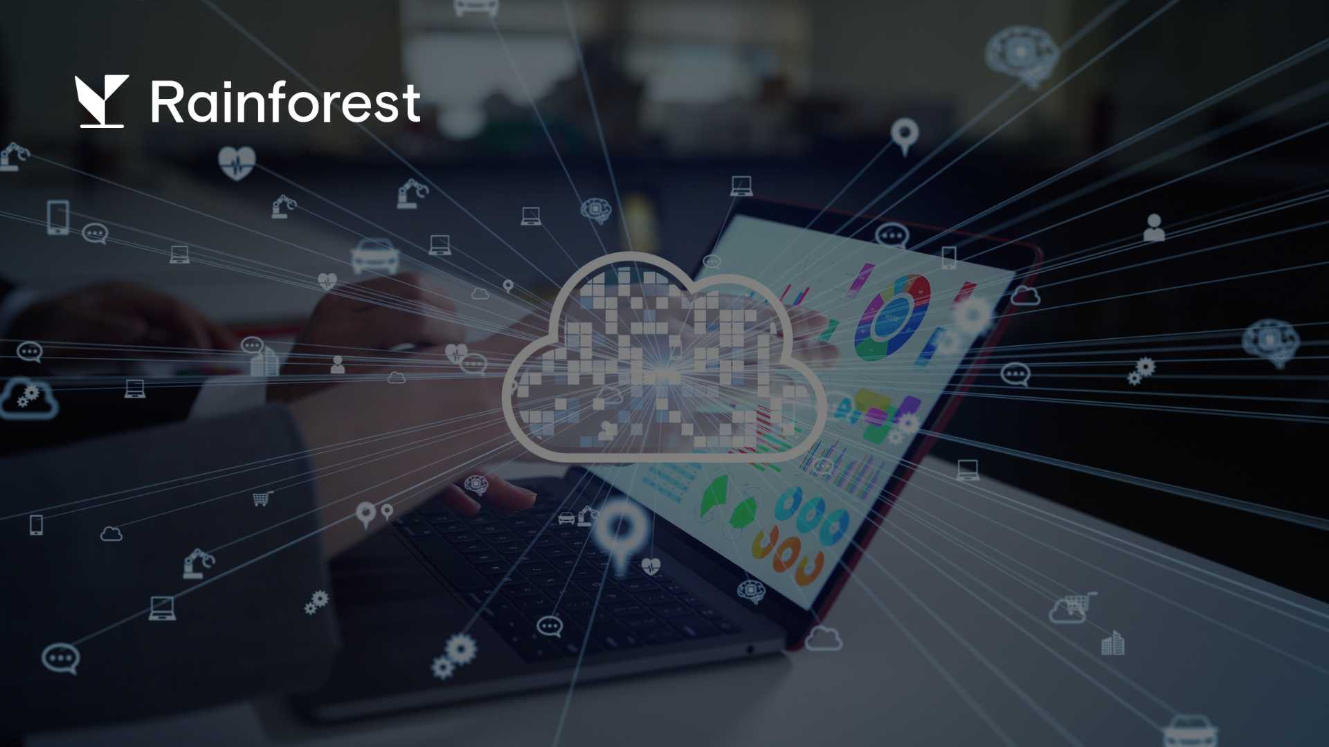 Rainforest Raises $29M Series B to Scale Embedded Payments for Vertical SaaS